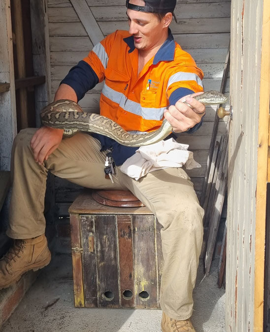 jaedon during a relaxed python catch in a backyard dunny